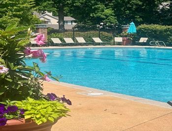Salt water swimming pool with expansive deck